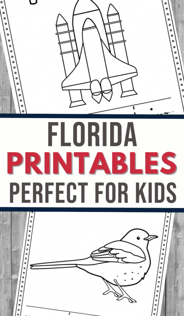 Florida Coloring and Writing Book - 3 Boys and a Dog