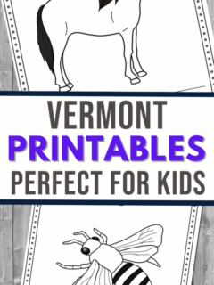 cropped-VERMONT-COLORING-SHEETS-4.png
