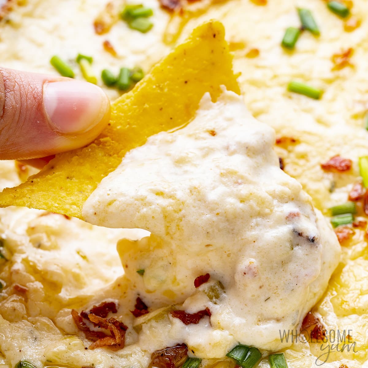 Close-up of a tortilla chip dipped into creamy bacon ranch crack dip with melted cheese and green onions.