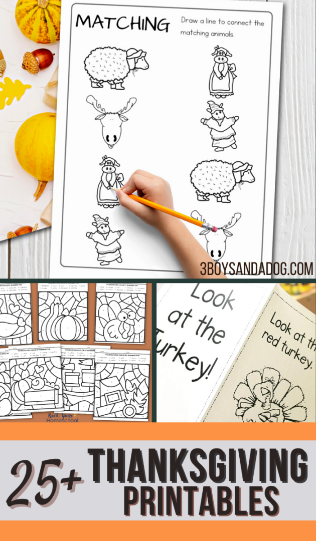 Educational Thanksgiving Ideas - 3 Boys and a Dog