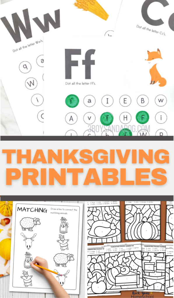 Educational Thanksgiving Ideas - 3 Boys and a Dog