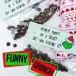 easy grinch treat bag top for a grinch party with text which reads funny Grinch Poop Printable