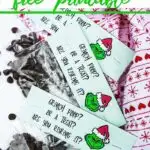 funny holiday treat bag topper with text which reads Grinch Poop Bag Topper free printable