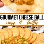photo collage of upscale cheeseball recipe with text which reads gourmet cheese ball easy and tasty