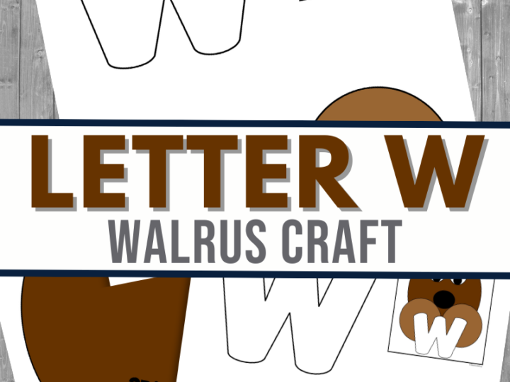 Image for W is for Walrus Craft