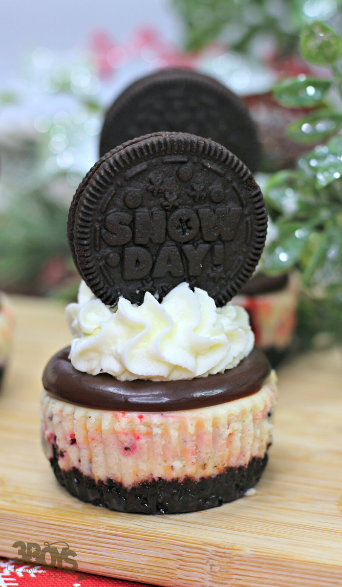 Mini Holiday Oreo Cheesecakes Recipe