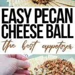 fotocollage van een eenvoudig cheeseball-recept met tekst waarin 'Easy Pecan Cheese Ball' het beste voorgerecht luidt