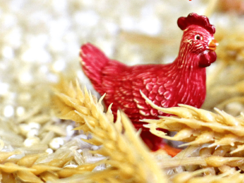 Image for The Story of the Little Red Hen Sensory Bin