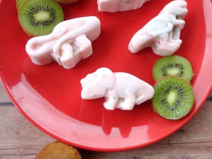 Image for Strawberry Kiwi Frozen Yogurt Dinosaurs 