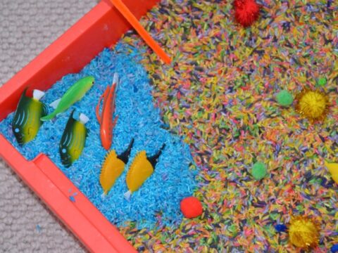 Image for The Lorax Sensory Tray