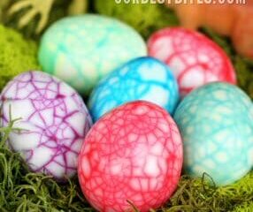 Image for Dinosaur Eggs