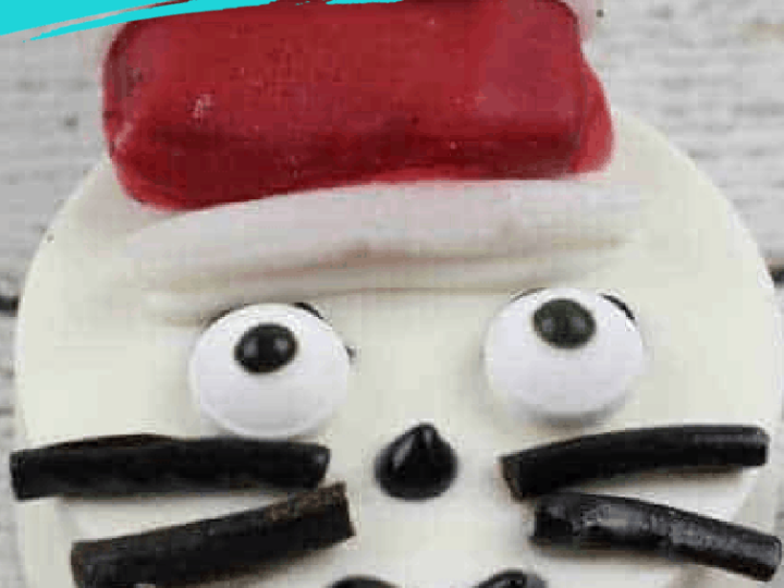 Image for Dr Seuss Cat in the Hat Oreo Cookies 