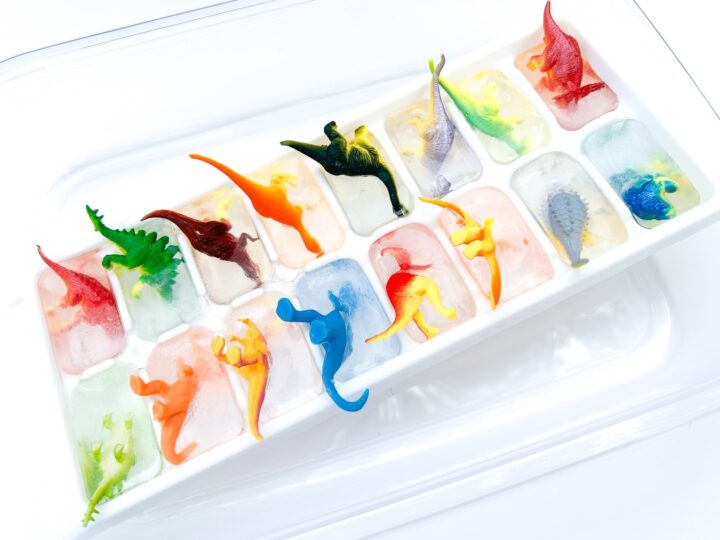 Image for Dinosaur Ice Rescue Summer Activity