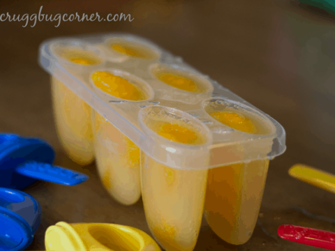 Image for Easy Popsicle Recipe: Mandarin Orange Spritzer