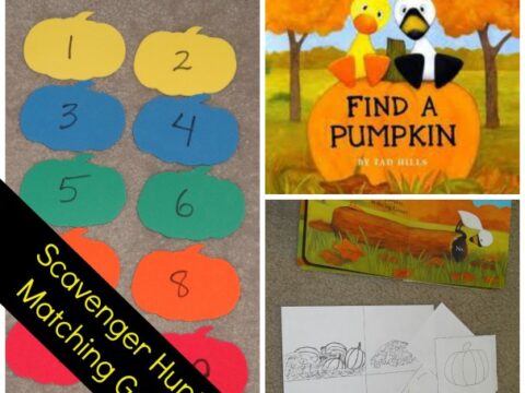 Image for Duck and Goose Find A Pumpkin: Pumpkin Hunt and Matching Game