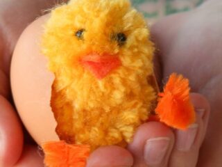 Image for Simple Pom Pom Baby Chicks