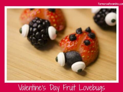 Image for Healthy Snack For Valentines Day ~ Fruit Lovebugs