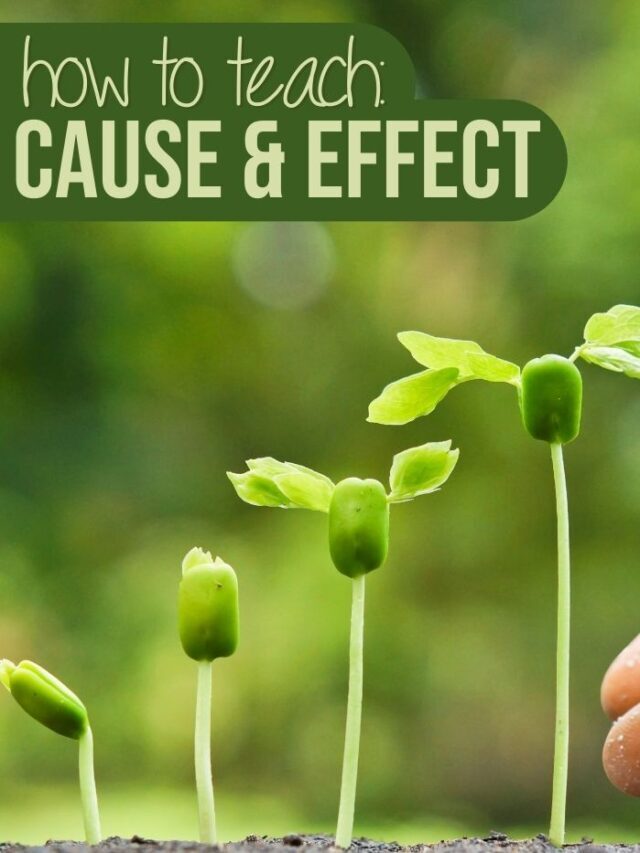 The Importance of Teaching Cause and Effect