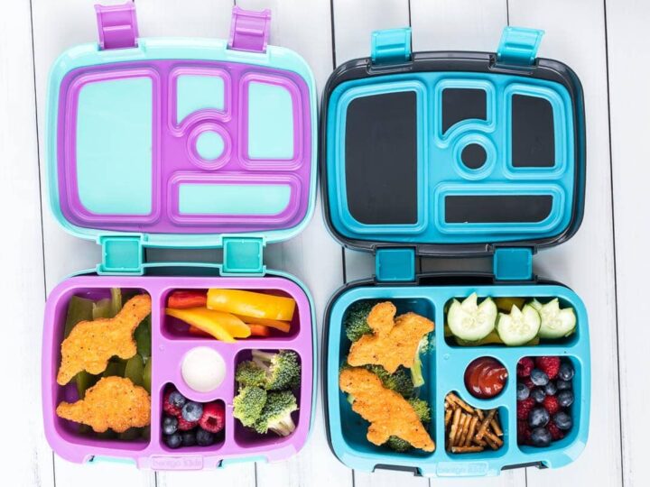 Image for Easy to Make Dinosaur Lunch Ideas for Kids