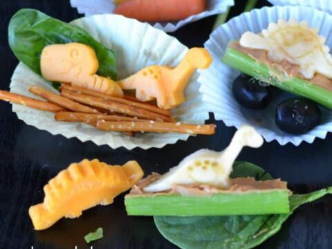 Image for Dinosaur Bento Lunch