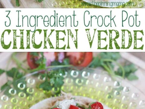 Image for 3 Ingredient Crock Pot Chicken Verde