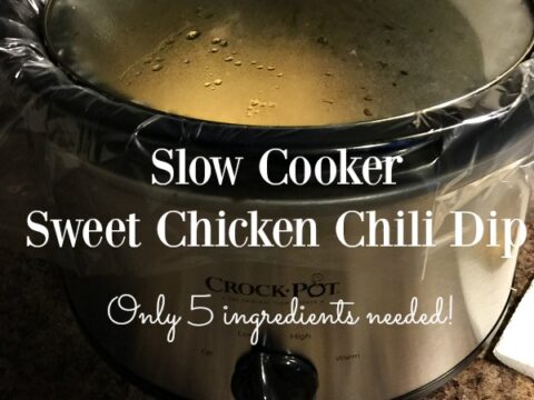 Image for Slow Cooker Sweet Chicken Chili Dip