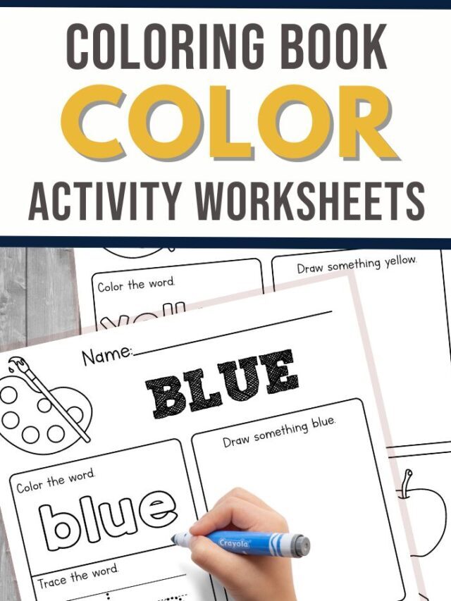 Color Activity Set for Kids