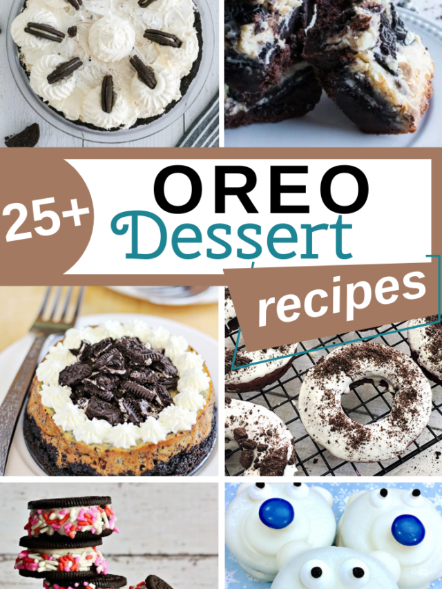 25+ OREO Dessert Recipes
