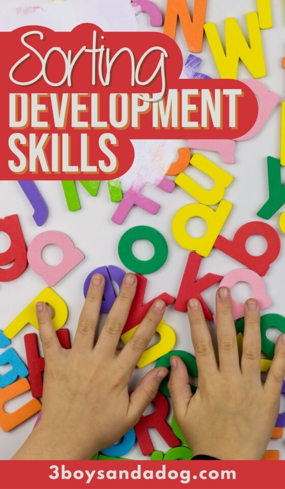 Sorting Skills: Developing Cognitive Abilities - 3 Boys and a Dog