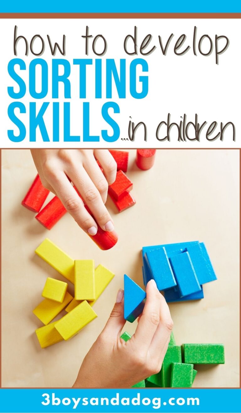 Sorting Skills: Developing Cognitive Abilities - 3 Boys and a Dog