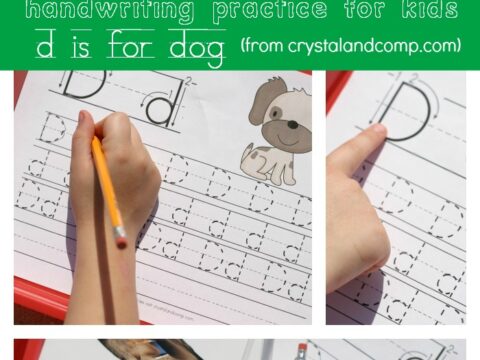 Image for Handwriting Practice for Kids: D is for Dog