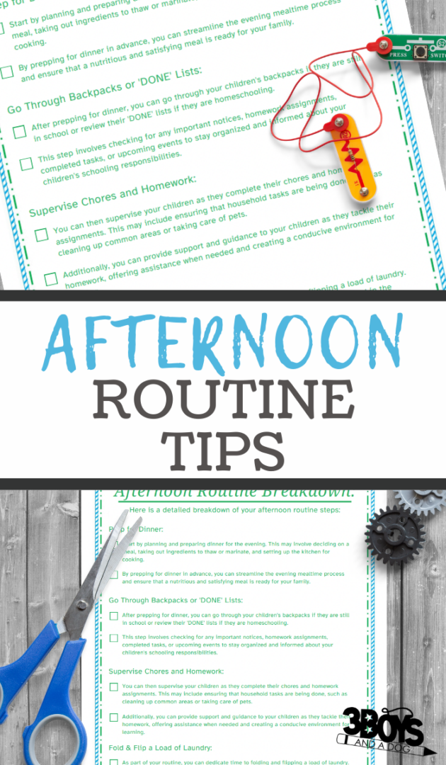 Streamline Your Afternoons: A Busy Mom’s Guide - 3 Boys and a Dog