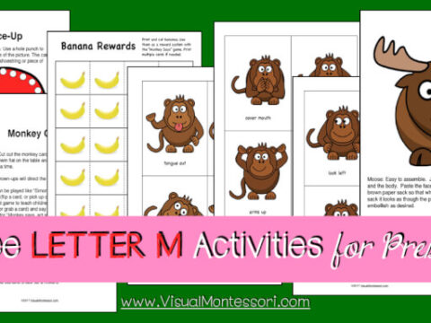 Image for Learn to Read Preschool Alphabet Letter M