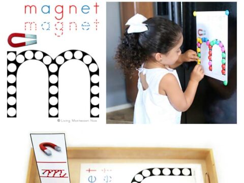 Image for FREE Magnet Do-a-Dot Printable (Montessori-Inspired Instant Download)