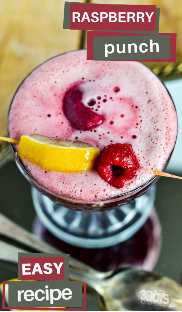Raspberry Lemon Punch Sorbet Recipe - 3 Boys and a Dog