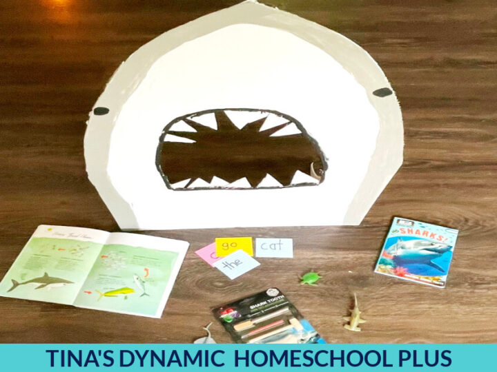 Image for Shark and Oceans for Kindergarten Fun Sight Word Activity