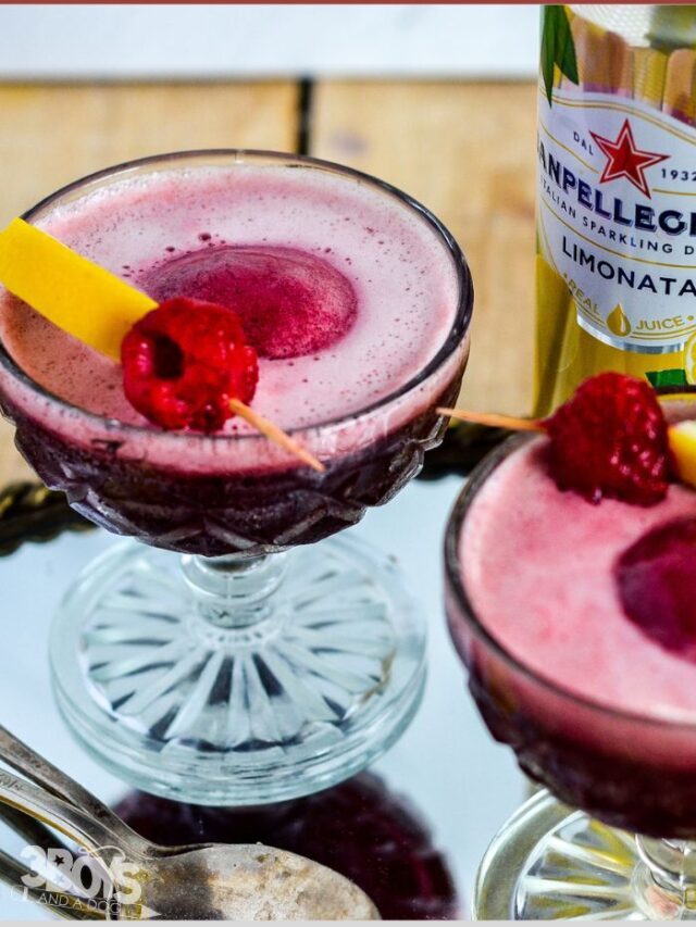 Raspberry Lemon Punch Sorbet Recipe