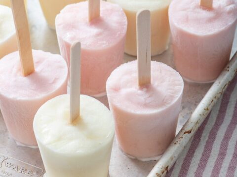 Image for Frozen Yogurt Pops