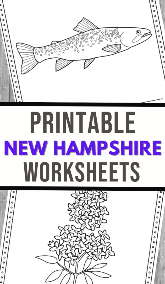 New Hampshire Coloring and Handwriting Worksheets - 3 Boys and a Dog