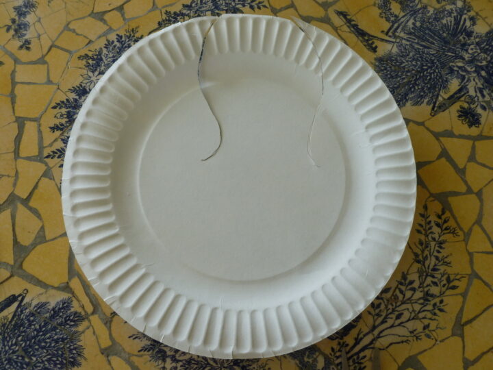 Image for Preschool Summer Bird Craft: Paper Plate Seagull