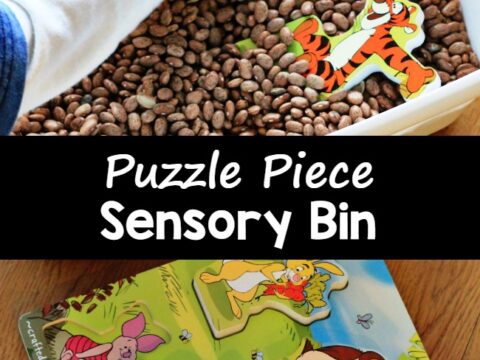 Image for Winnie the Pooh Puzzle Sensory Bin