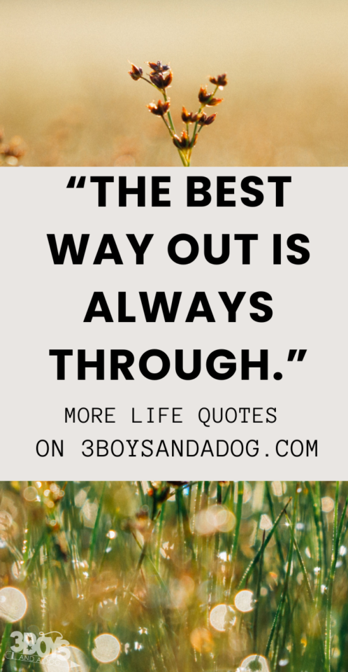 When Life Is Getting Harder Quotes