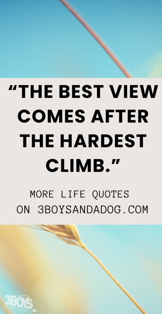 When Life Is Getting Harder Quotes