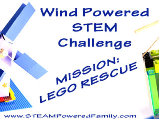 Image for Windmill STEM Challenge