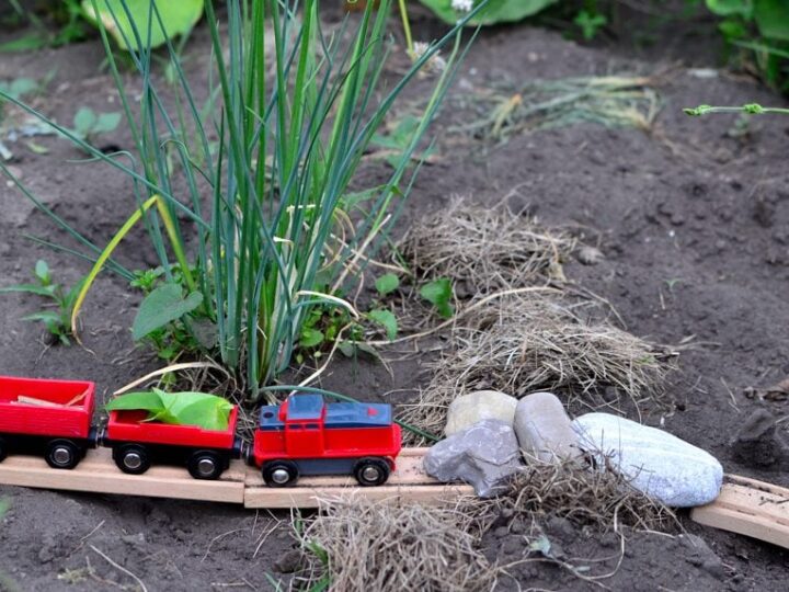 Image for Backyard Railroad Engineering: Outdoor STEM Challenge for Kids