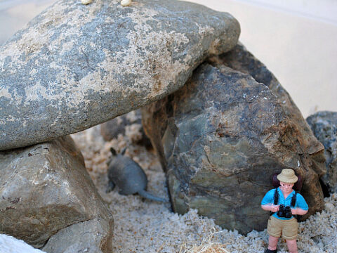 Image for Desert Moldable Sand Small World