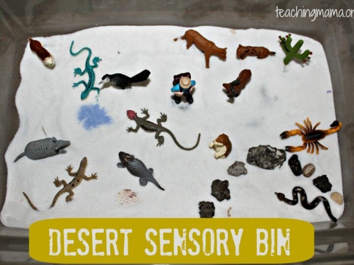 Image for Desert Sensory Bin
