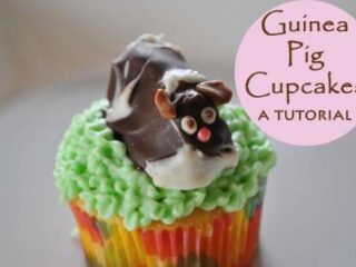Image for Guinea Pig Cupcakes