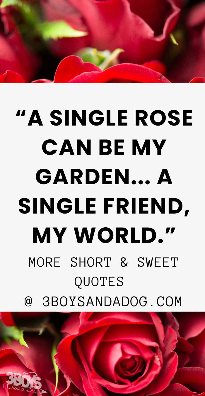 Short And Sweet Quotes