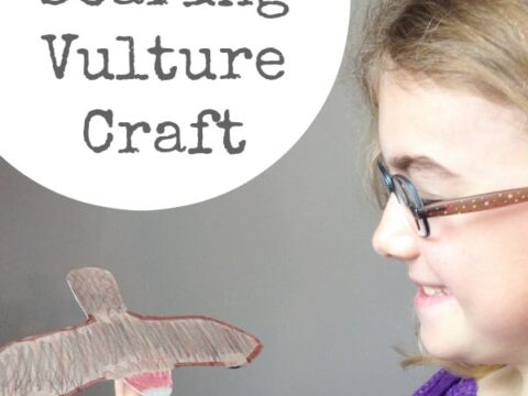 Image for "V" is for Soaring Vulture Craft